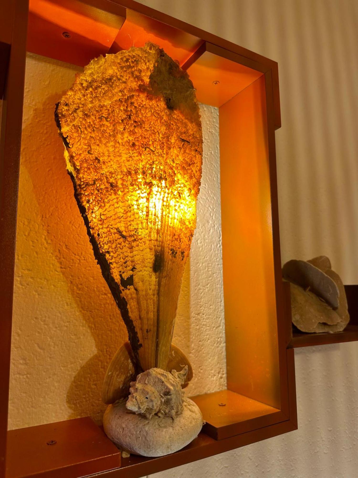 Hostel Herz バニャ・ルカ エクステリア 写真
